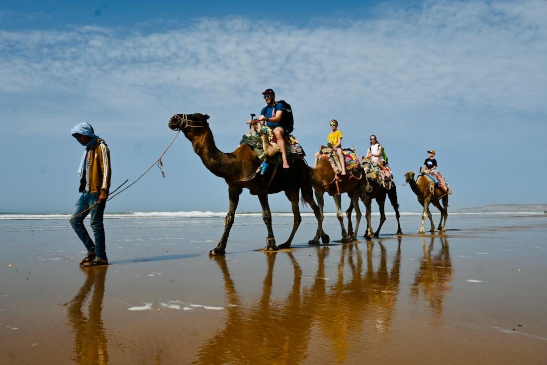 Dromedar-Reiten am Atlantik in Sidi Kaouki
