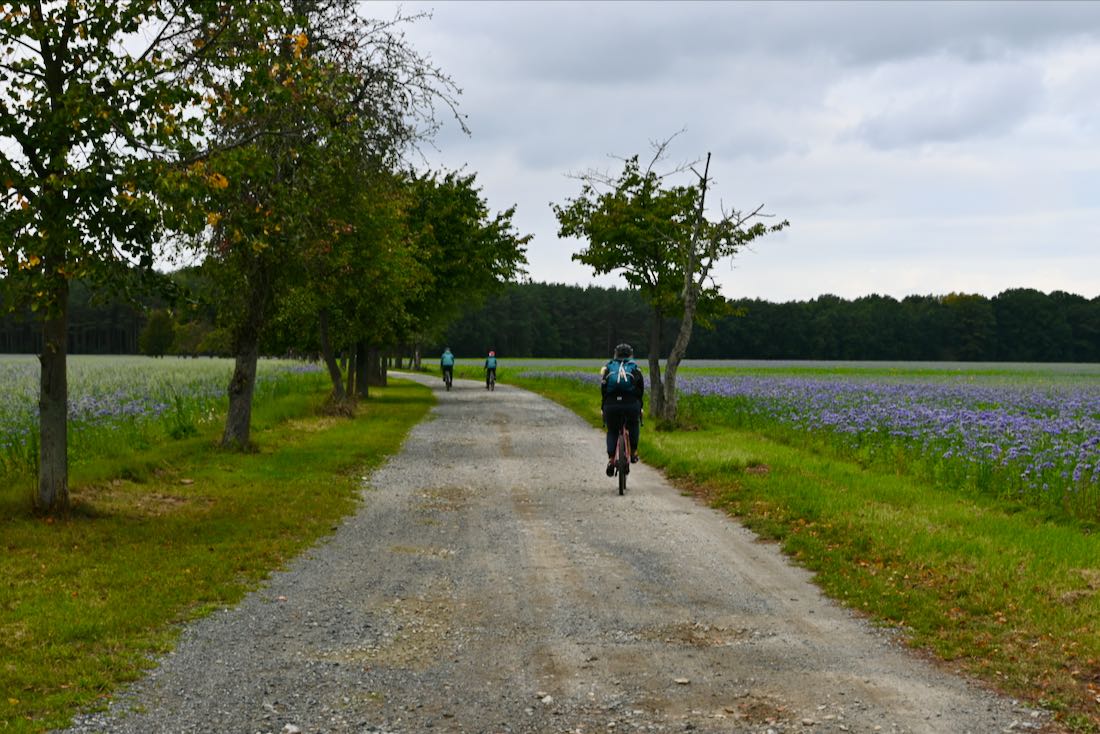 Auf Gravel-Bikes in der Oberlausitz unterwegs