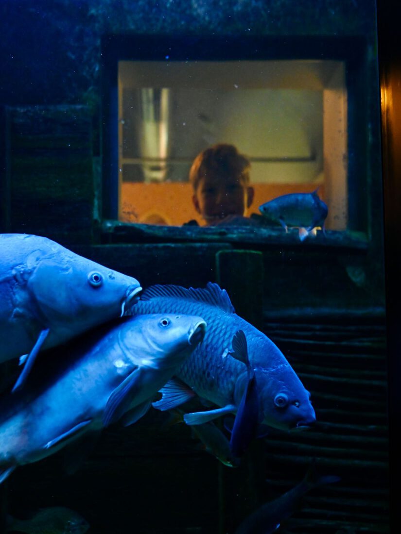 Ben am Aquarium im Haus der tausend Teiche
