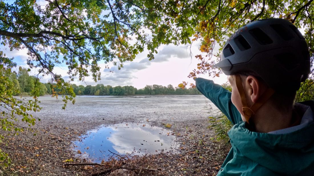 Flo hat einen Seeadler entdeckt