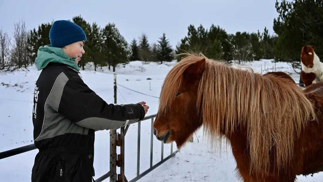Flo streichelt Pferd von Íshestar Riding