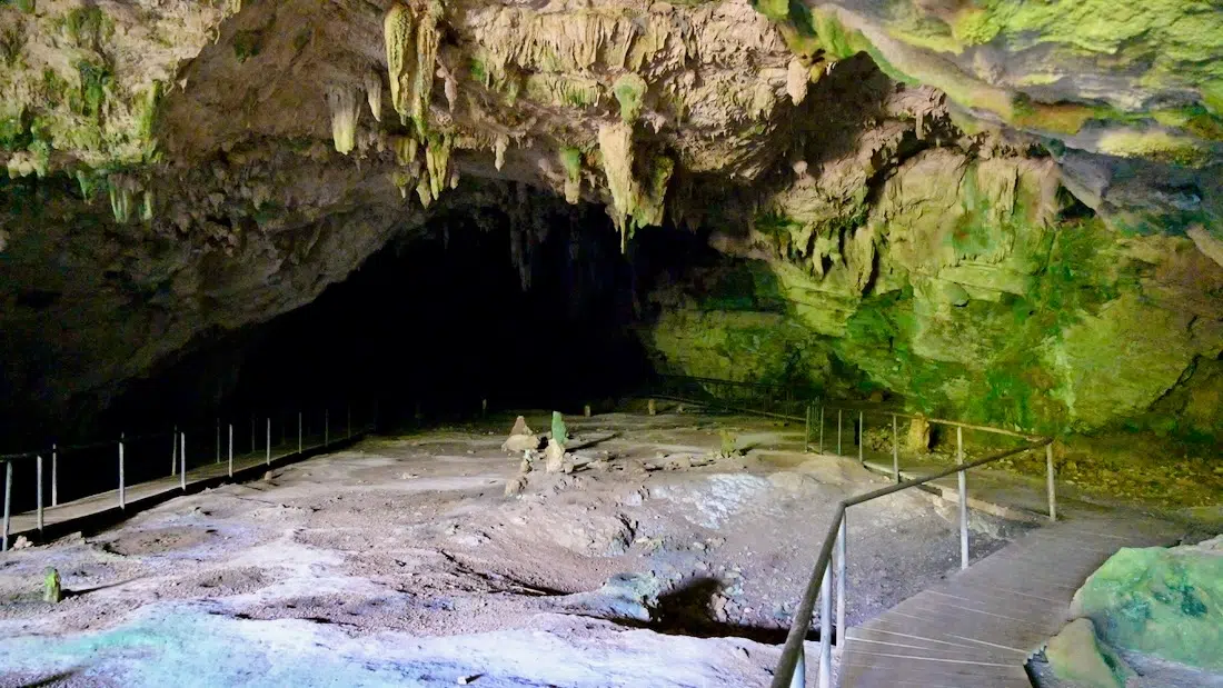 Blick in die Höhle im Francois Legua Reservat