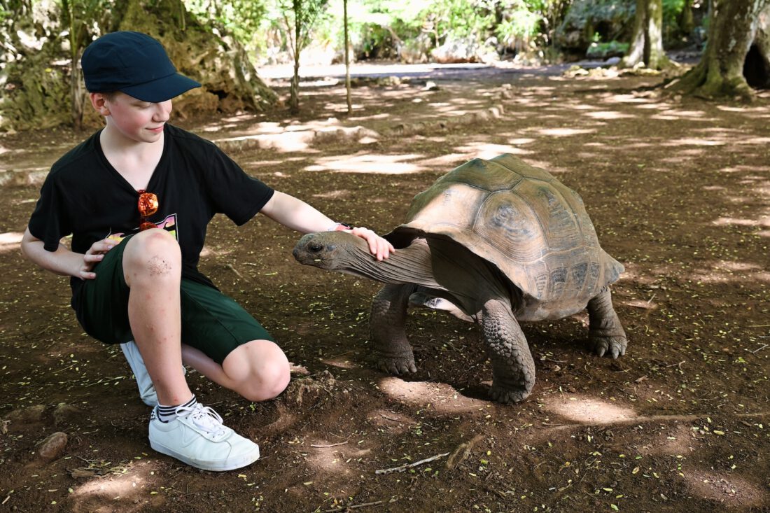 Ein unvergesslicher Tag im Schildkrötenreservat von Rodrigues