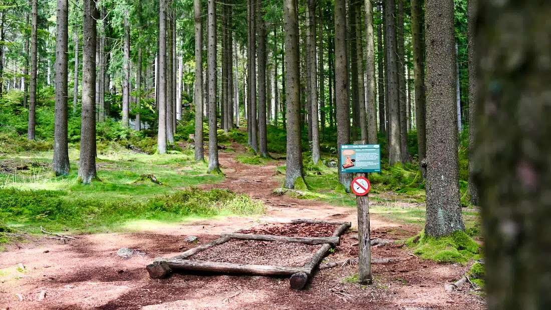 Barfußpfad am Fichtelsee im Fichtelgebirge