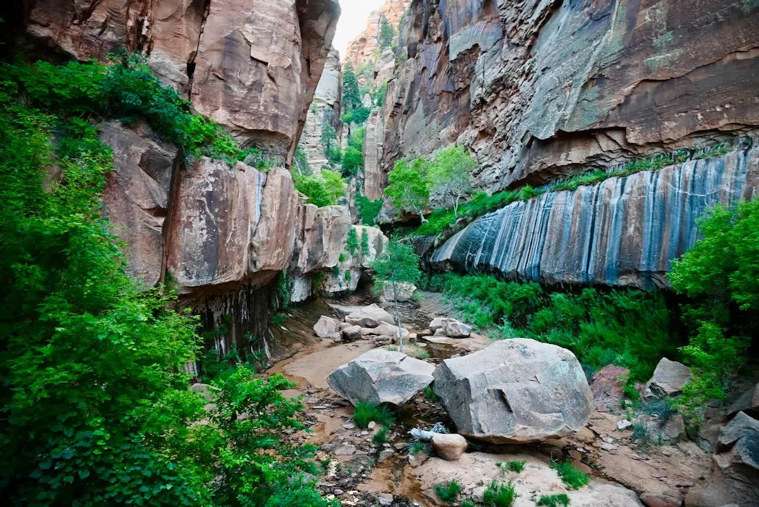Der Water Canyon in Utah im Zioan National Park