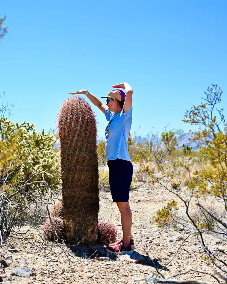 Melanie bei einem riesigen Kaktus in Nevada