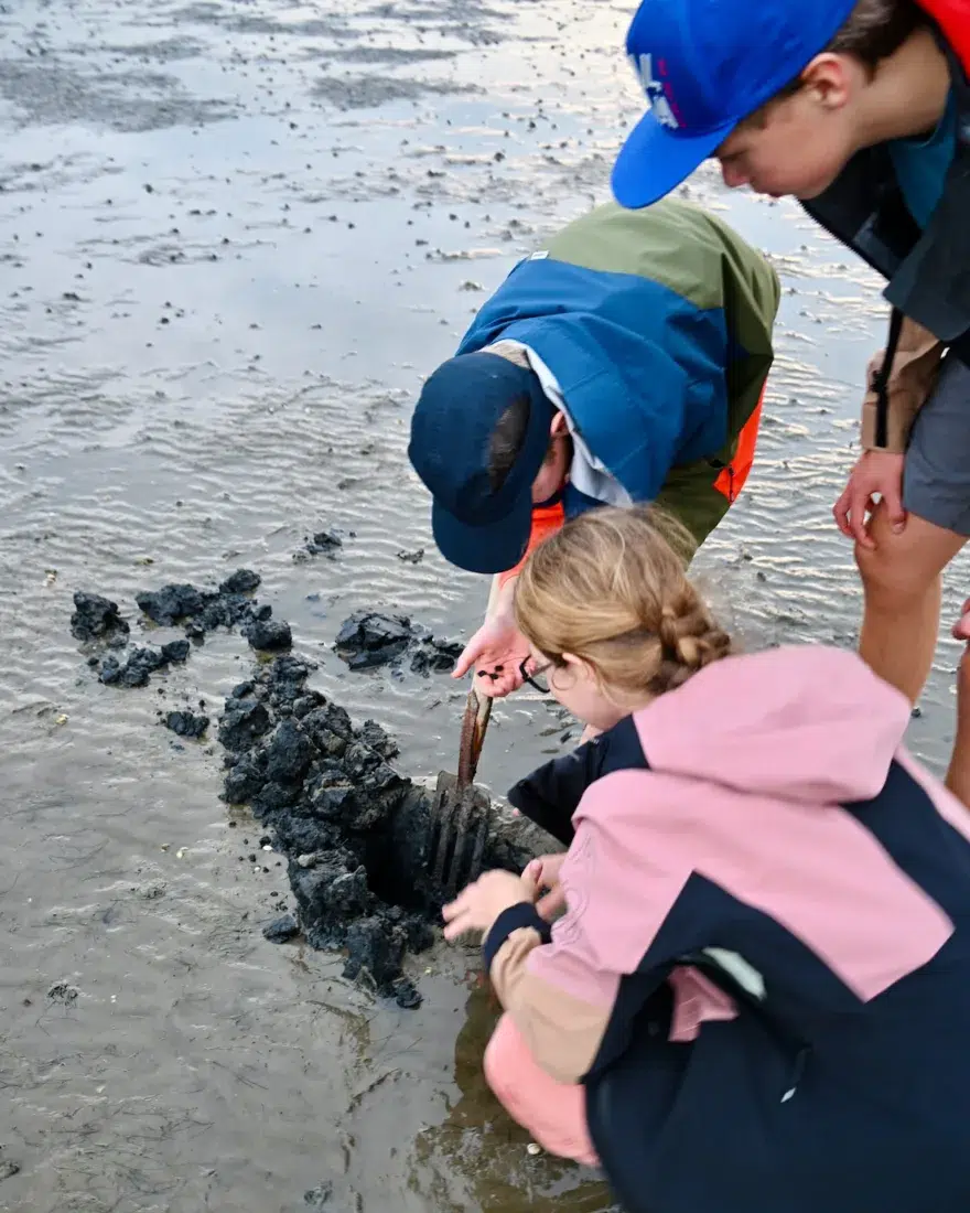 Die Suche nach dem Wattwurm im Nordseeschlick