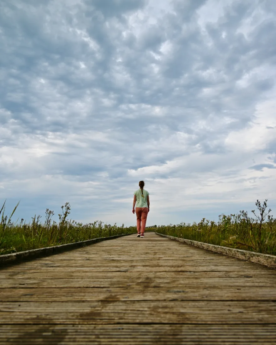 Holzsteege im Langwarder Groden in Butjadingen