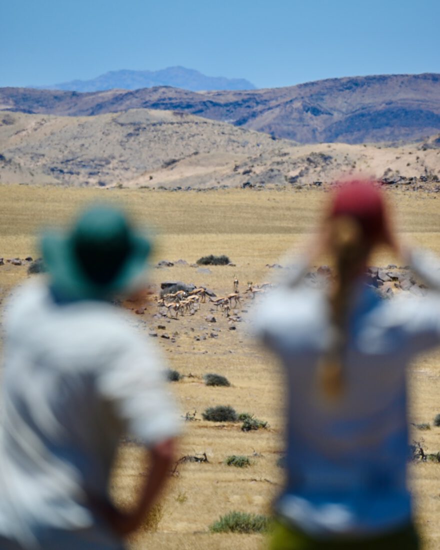 Thomas und Melanie beobachten Springböcke