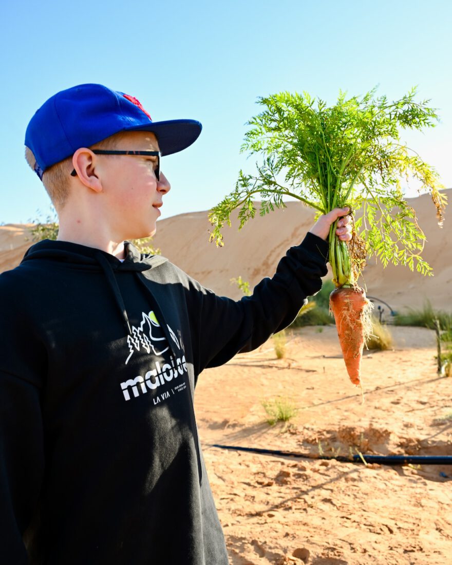 Ben mit einer riesigen Rübe im Camp Abdemoula in Tunesien