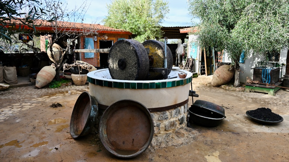 Olivenölpresse im Dar Zaghouan