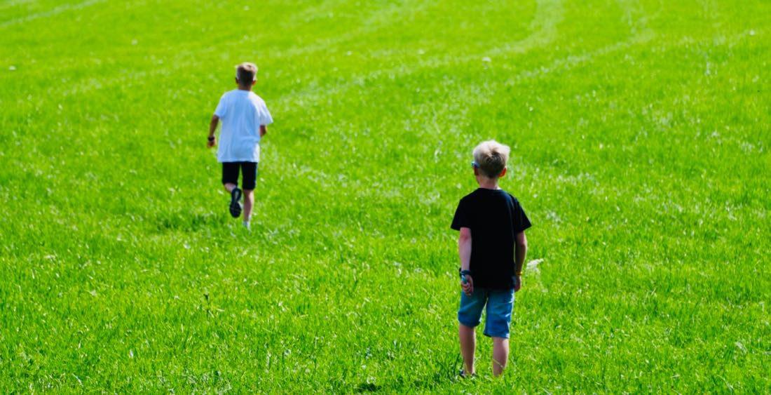 Ben und Flo auf der Wiese bei Tauplitz