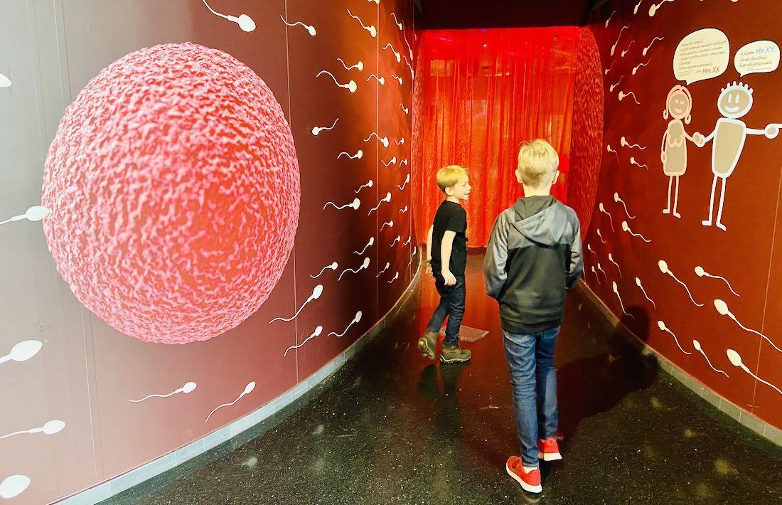 QLANDIA - Sexualkunde