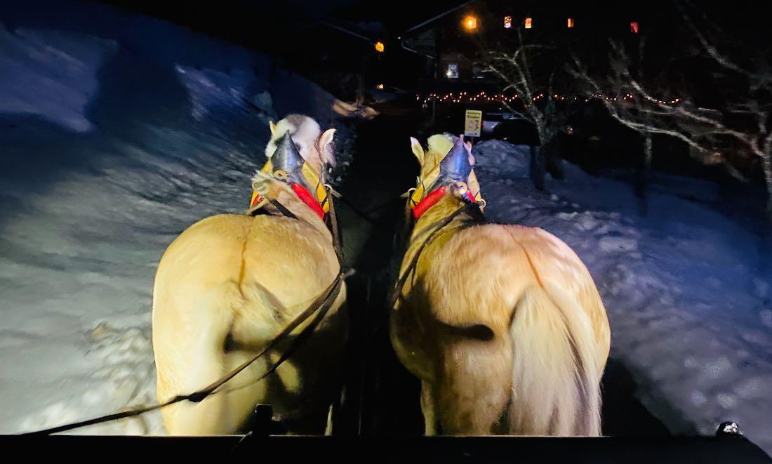 Pferdeschlittenfahrt am Abend